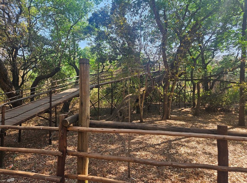 Lilongwe Nature Sanctuary, Lilongwe, Central Region, Malawi